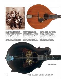 The Mandolin In America 
