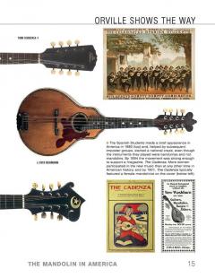 The Mandolin In America 