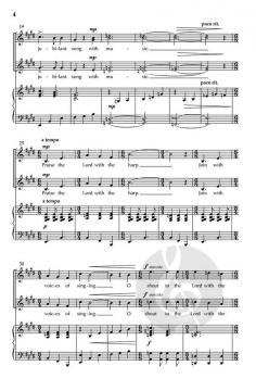 Shout For Joy! von Dan Davison 