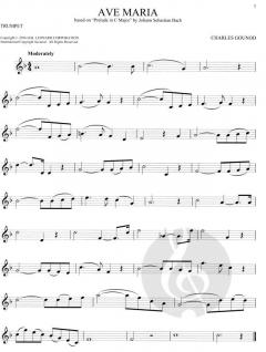 101 Classical Themes for Trumpet im Alle Noten Shop kaufen