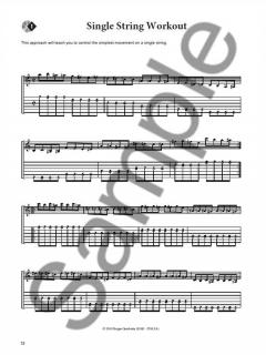 The Flatpicking Sourcebook von Beppe Gambetta 