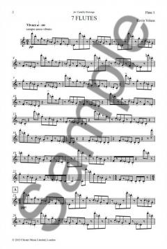 7 Flutes von Kevin Volans 