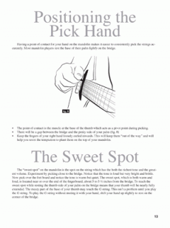 American Mandolin Method Vol. 1 von Brian Wicklund im Alle Noten Shop kaufen