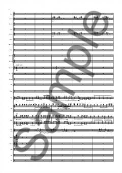 Viola Concerto von Nico Muhly 