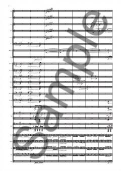 Mixed Messages von Nico Muhly 