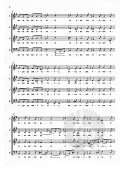 Audi Victoria (Die Prinzen) 