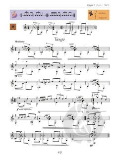 Gitarre Extraklasse von Tatiana Stachak 