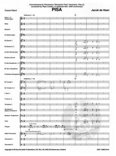 Pisa von Jacob de Haan 