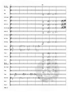 Pisa von Jacob de Haan 