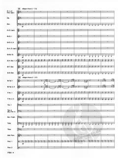 Pisa von Jacob de Haan 