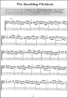 Fiddle Tunes & Irish Music For Mandolin von Dan Gelo im Alle Noten Shop kaufen