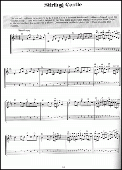 Fiddle Tunes & Irish Music For Mandolin von Dan Gelo im Alle Noten Shop kaufen