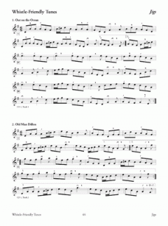 150 Gems Of Irish Music for Tin Whistle von Grey Larsen 