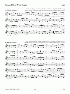 150 Gems Of Irish Music for Tin Whistle von Grey Larsen 