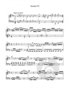 Sämtliche Sonaten für Clavier 1 von Vojtech Spurn\(y' im Alle Noten Shop kaufen