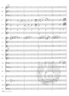 Can You Feel The Love Tonight (Elton John) 