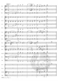 Can You Feel The Love Tonight (Elton John) 