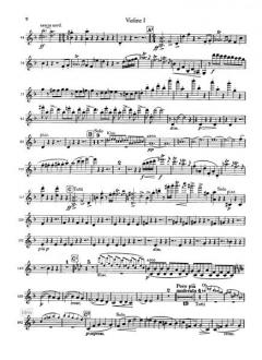 Klavierkonzert Nr. 1 d-moll op. 15 von Johannes Brahms 