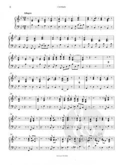 Brandenburgisches Konzert Nr. 6 in B-Dur BWV 1051 von Johann Sebastian Bach 