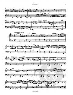 Konzert in c-moll BWV 1060 von Johann Sebastian Bach 