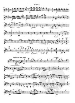 Symphonie Nr. 7 h-moll D 759 von Franz Schubert 