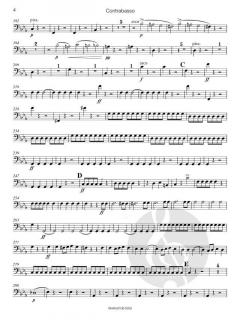 Sinfonie Nr. 1 c-moll op. 11 von Felix Mendelssohn Bartholdy 