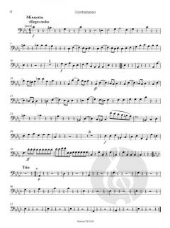 Sinfonie Nr. 1 c-moll op. 11 von Felix Mendelssohn Bartholdy 