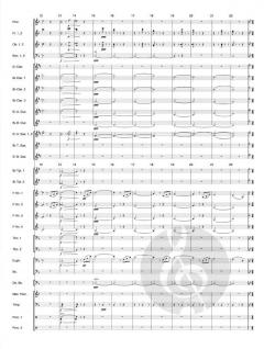 An der schönen blauen Donau op. 314 von Johann Strauss (Sohn) 