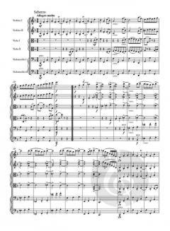 Sextett in B op. 18 von Johannes Brahms für 2 Violinen, 2 Violen und 2 Violoncelli im Alle Noten Shop kaufen