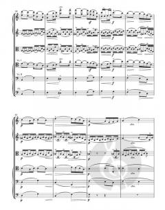 Serenade für Streicher op. 20 von Edward Elgar (Download) 