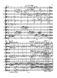 Variationen über ein Thema von Joseph Haydn B-Dur op. 56a von Johannes Brahms 