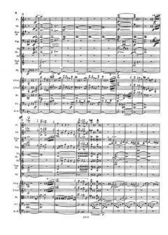 Klavierkonzert Nr. 1 d-moll op. 15 von Johannes Brahms 