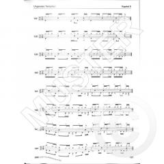 Drum-Spiel für Fortgeschrittene: Patterns (Roman Schmon) 