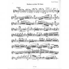 Kadenzen zum Flötenkonzert Nr. 2 D-Dur KV 314 (285d) von Wolfgang Amadeus Mozart im Alle Noten Shop kaufen