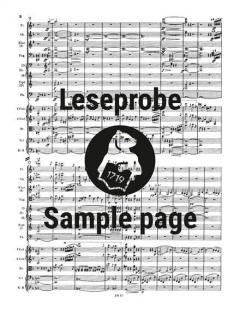 Klavierkonzert Nr. 1 d-moll op. 15 von Johannes Brahms 