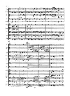 Akademische Festouvertüre op. 80 von Johannes Brahms 