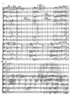 Klavierkonzert Nr. 1 e-moll op. 11 von Frédéric Chopin 