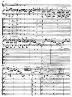 Klavierkonzert Nr. 1 e-moll op. 11 von Frédéric Chopin 