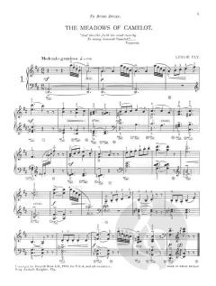 King Arthurs Knights von Leslie Fly 