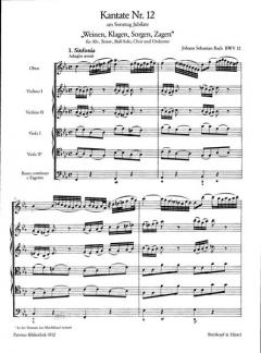 Weinen, Klagen, Sorgen, Zagen von Johann Sebastian Bach 