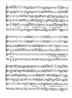 Ich armer Mensch, ich Sündenknecht von Johann Sebastian Bach 