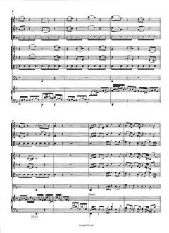 Wir müssen durch viel Trübsal von Johann Sebastian Bach 