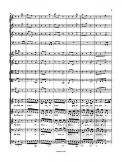 Erschallet, ihr Lieder von Johann Sebastian Bach 