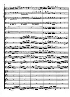 Zerreisset, zersprenget, zertrümmert die Gruft von Johann Sebastian Bach 