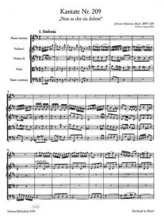 Non sa che sia dolore / Was Schmerz sei und was Leiden von Johann Sebastian Bach 