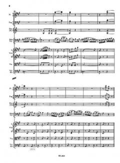 Variationen über ein Thema aus W.A. Mozarts Don Giovanni von Franz Danzi 