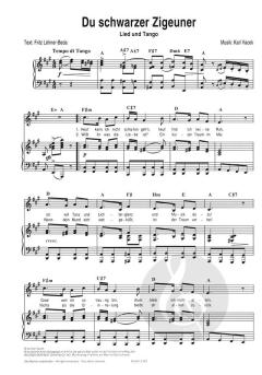 Du schwarzer Zigeuner 