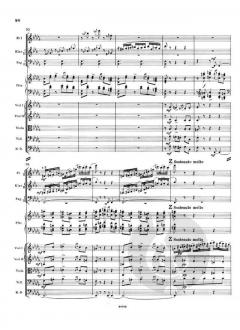 Klavierkonzert Nr. 1 b-moll op. 23 von Pjotr Iljitsch Tschaikowski 