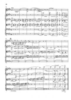 Serenade e-moll op. 20 von Edward Elgar 