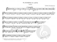 Inntaler Bauernmusik Heft 13 (G. Weissbacher) 